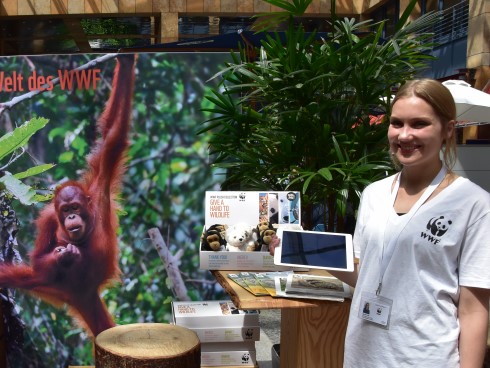 Im Einkaufszentrum in den Regenwald