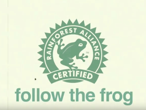 Vidéo du mois ＂Follow the Frog＂