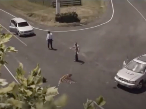 Video des Monats: Road Safety